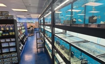 Finatics Aquarium