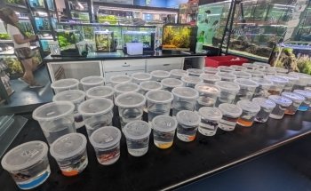 Finatics Aquarium