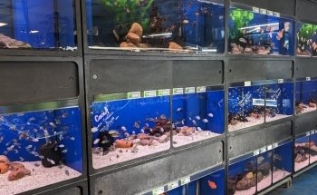 Finatics Aquarium