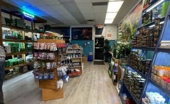 April's Aquarium