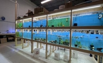 April's Aquarium