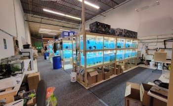 April's Aquarium
