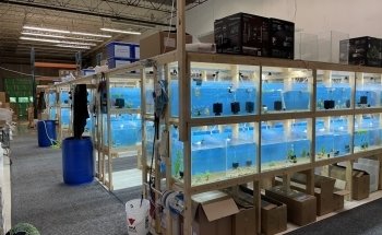 April's Aquarium
