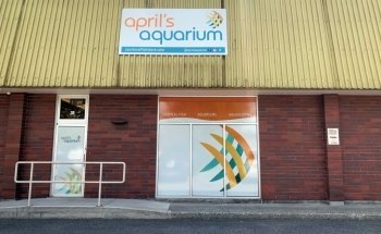 Acuario de Abril