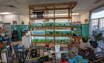 April's Aquarium