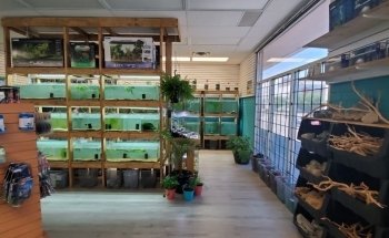 April's Aquarium