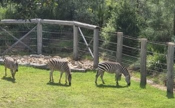 Sydney Zoo