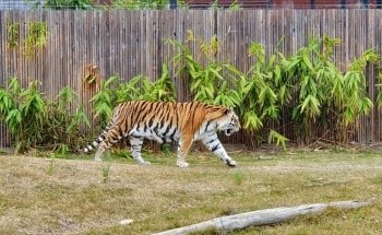 Sydney Zoo