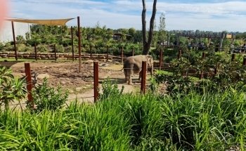 Sydney Zoo