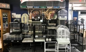 Pet O Pets - Mississauga