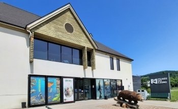 Musee du Fjord