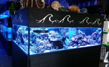 Aquariums Reefsolution