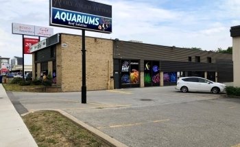 Acuarios Reefsolution
