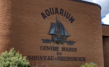 Acuario de Shippagan
