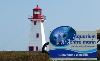 Shippagan Aquarium