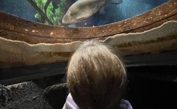 The Aquatarium at Tall Ships Landing
