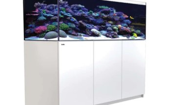 Aquarium Depot