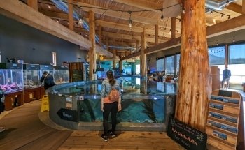 Acuario de Ucluelet