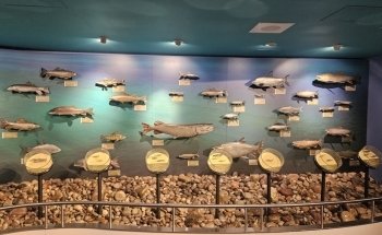 Bow Habitat Station & Sam Livingston Fish Hatchery