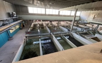 Bow Habitat Station & Sam Livingston Fish Hatchery