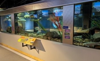 Bow Habitat Station & Sam Livingston Fish Hatchery