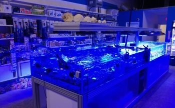 Canada Corals Inc.