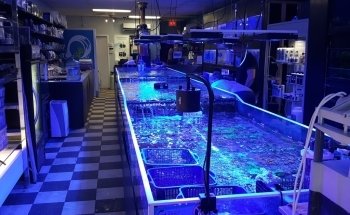 Aquarium Raging Reef - Montreal