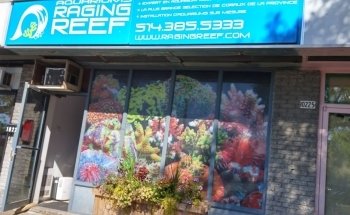 Aquarium Raging Reef - Montreal
