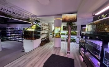 La Maison Du Poisson