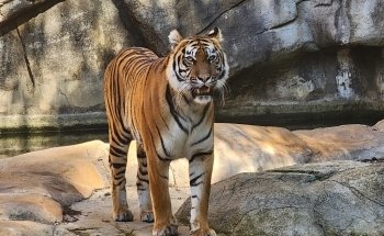 National Zoo & Aquarium