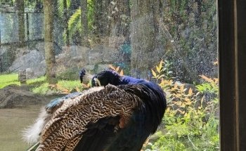 National Zoo & Aquarium