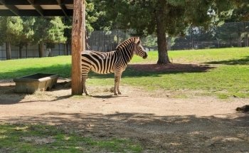 National Zoo & Aquarium