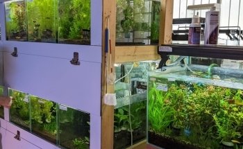 M&J Aquarium