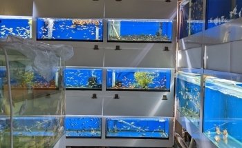 M&J Aquarium