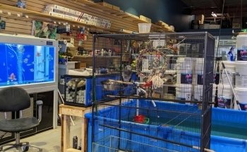 M&J Aquarium