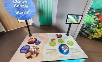 Homarus Centre
