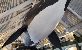 Huntsman Marine Science Centre | Fundy Discovery Aquarium