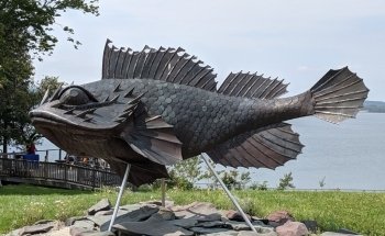 Huntsman Marine Science Centre | Fundy Discovery Aquarium