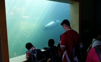 Huntsman Marine Science Centre | Fundy Discovery Aquarium