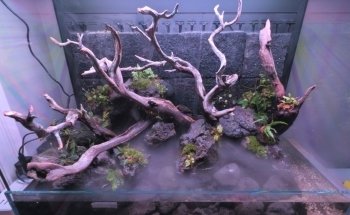 Rad Aquatic Design Inc
