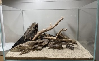 Rad Aquatic Design Inc