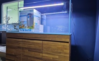 Rad Aquatic Design Inc