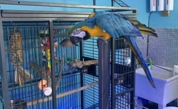 Atlantic Aquarium & Pet Supplies