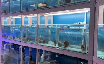 Atlantic Aquarium & Pet Supplies