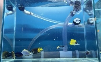 Atlantic Aquarium & Pet Supplies