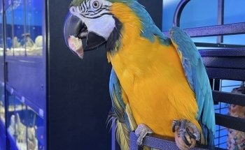 Atlantic Aquarium & Pet Supplies