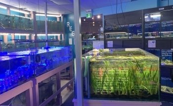 Atlantic Aquarium & Pet Supplies