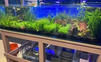 Atlantic Aquarium & Pet Supplies