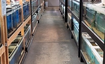 Francos Aquariums