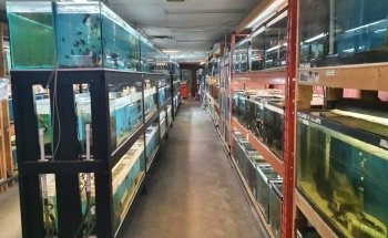Francos Aquariums